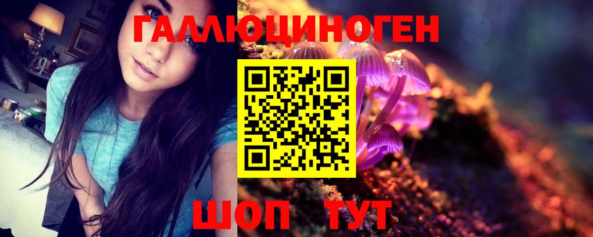 Галлюциногенные грибы Magic Shrooms  Вход с VPN  Благовещенск 